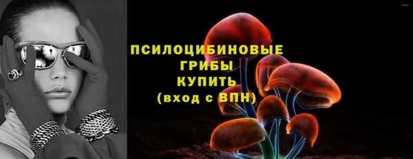 гидра Каменск-Шахтинский