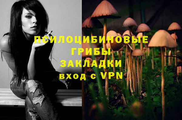гидра Каменск-Шахтинский