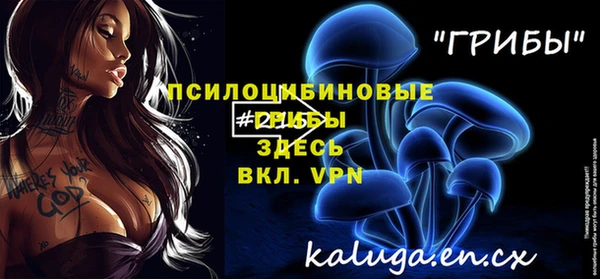 гидра Каменск-Шахтинский