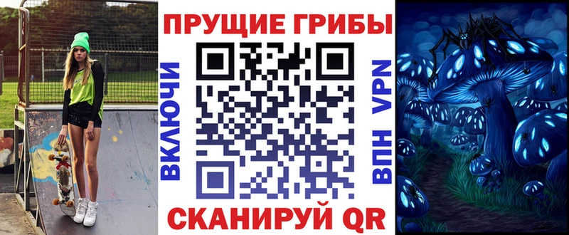 Псилоцибиновые грибы мицелий  гидра как войти  Шали 