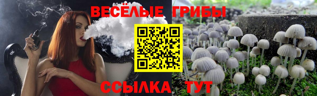 Шали  Псилоцибиновые грибы MAGIC MUSHROOMS  Вход с VPN 
